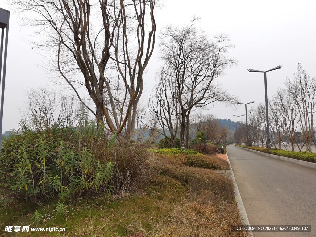 城郊冬日道路旁萧瑟景象