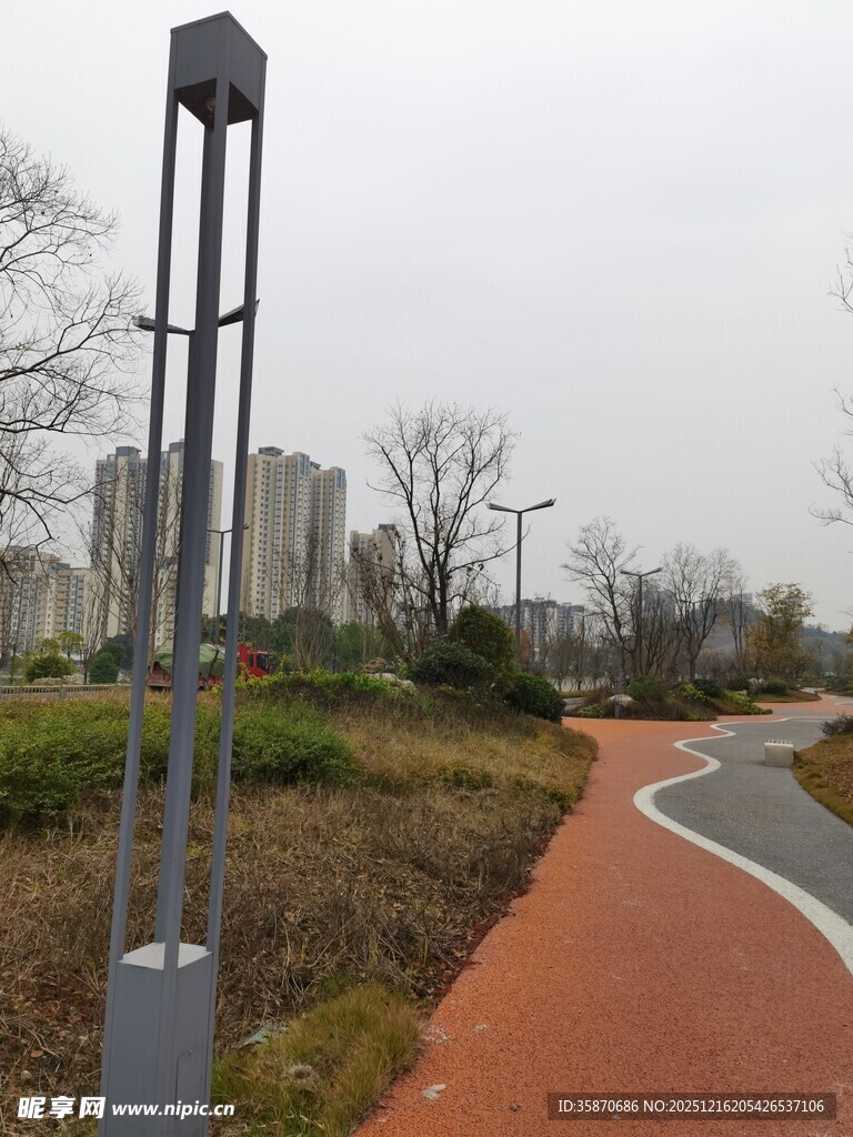 城市公园中的步道与灯柱