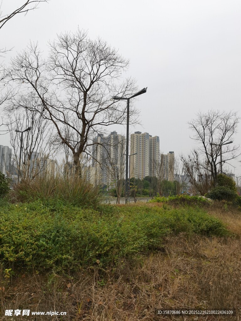 城郊荒野与远处高楼景象