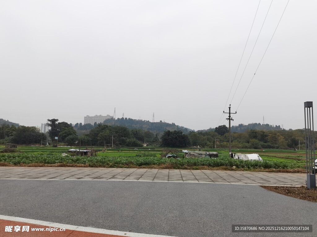 乡村道路旁的开阔田园风光