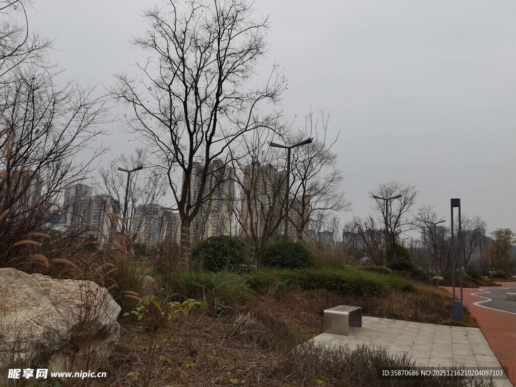 冬日城郊公园景观