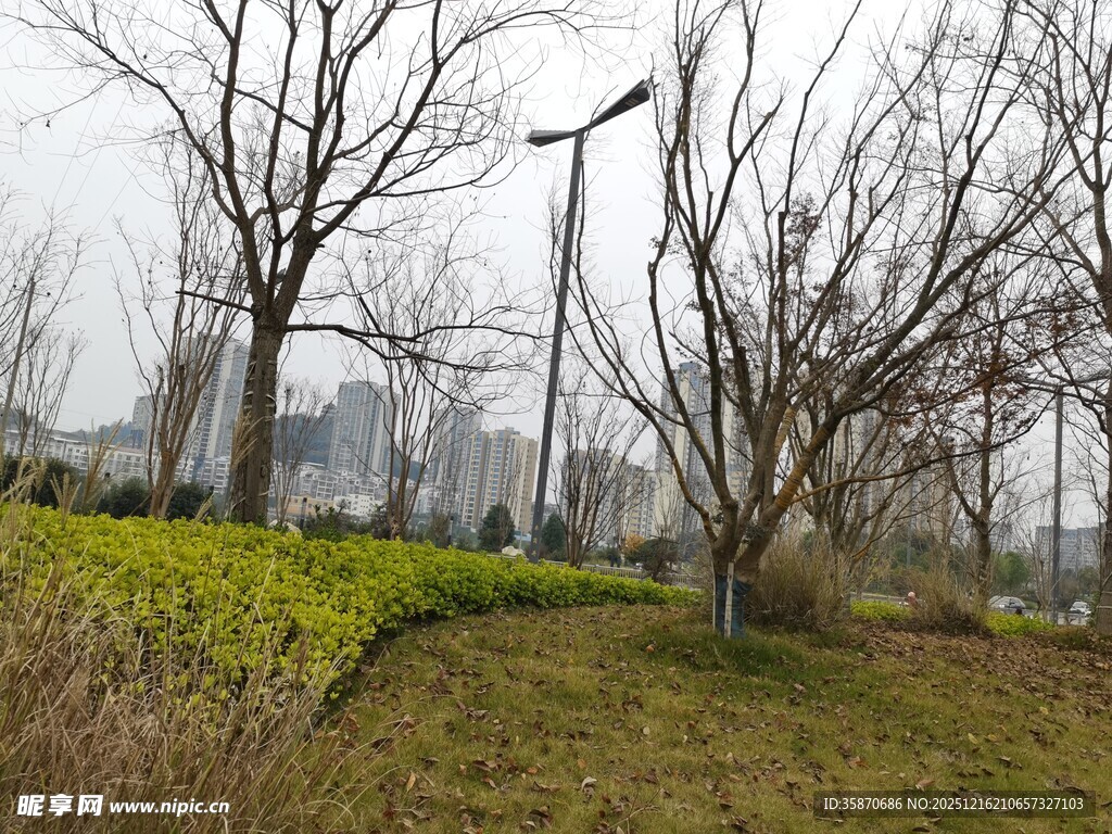 冬日公园的萧瑟景致