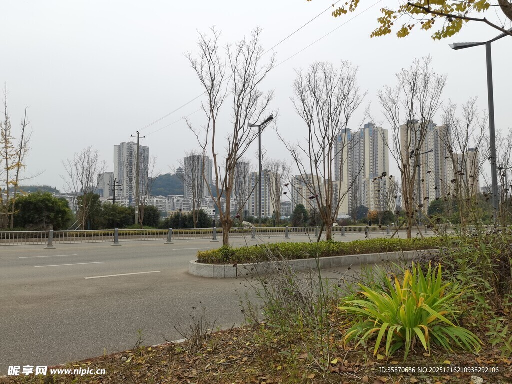 城市空旷停车场与绿植景观