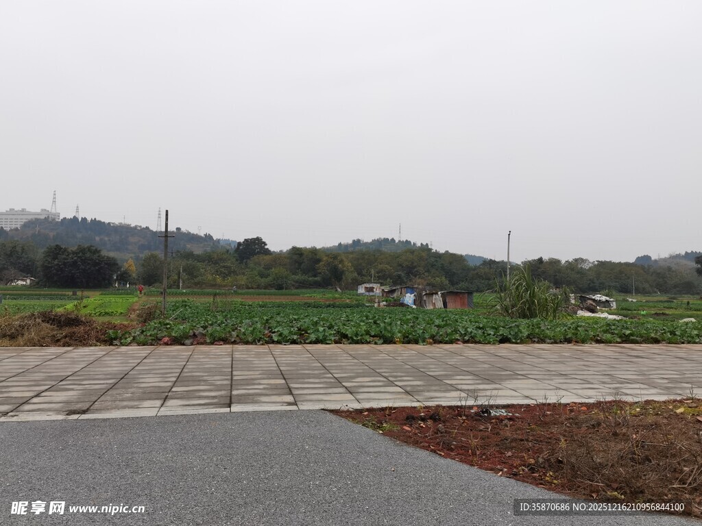 乡村田野边的开阔道路