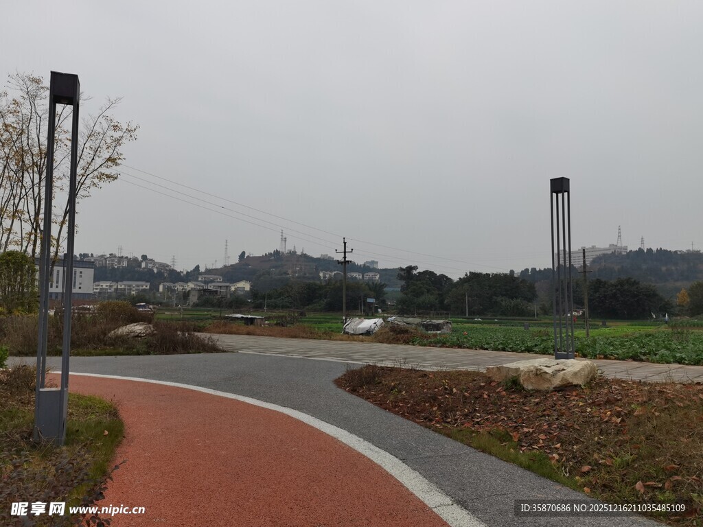 城市公园中的彩色步道