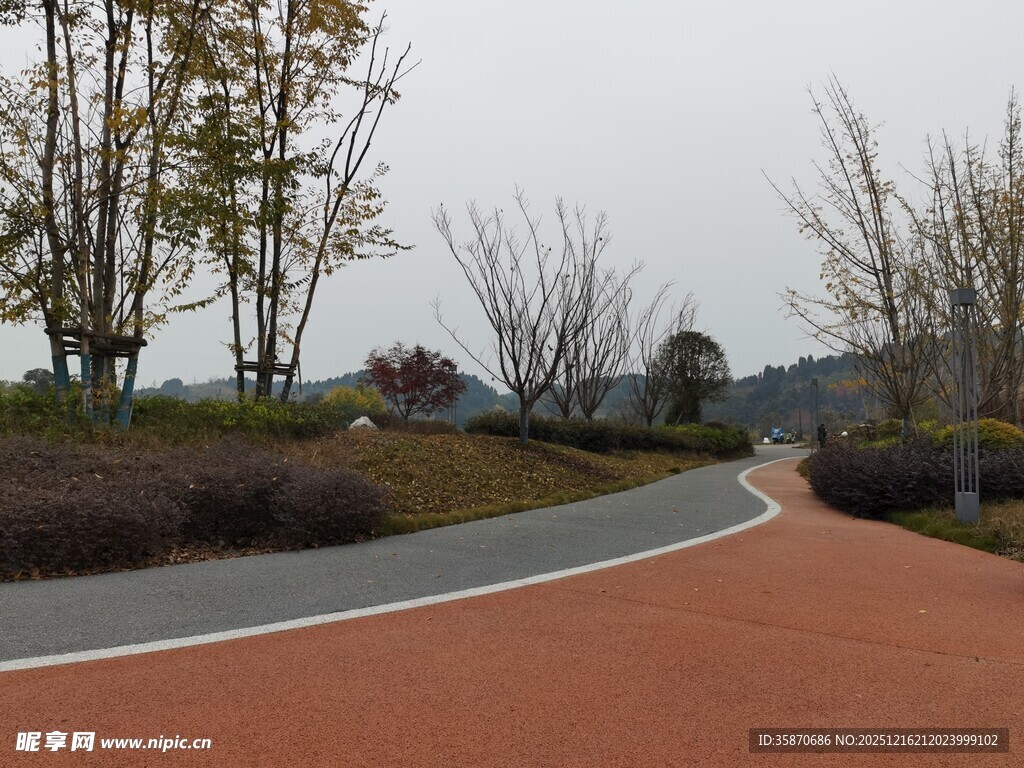 蜿蜒彩色步道自然景致