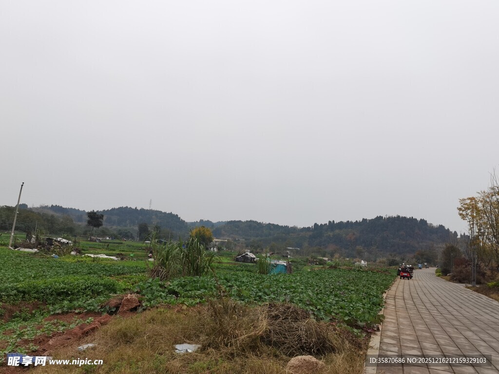 乡村田园小路风景