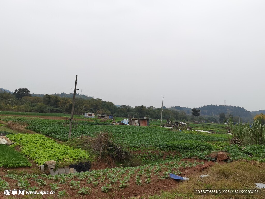 乡村田园风光景色
