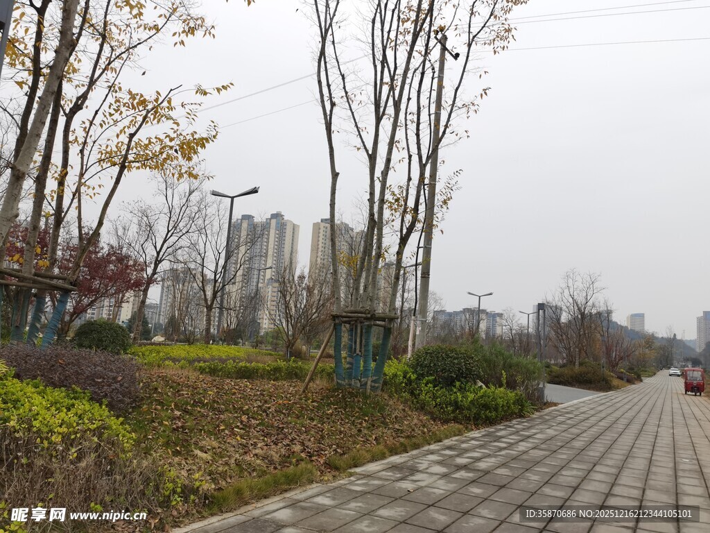 城市中的宁静林荫步道