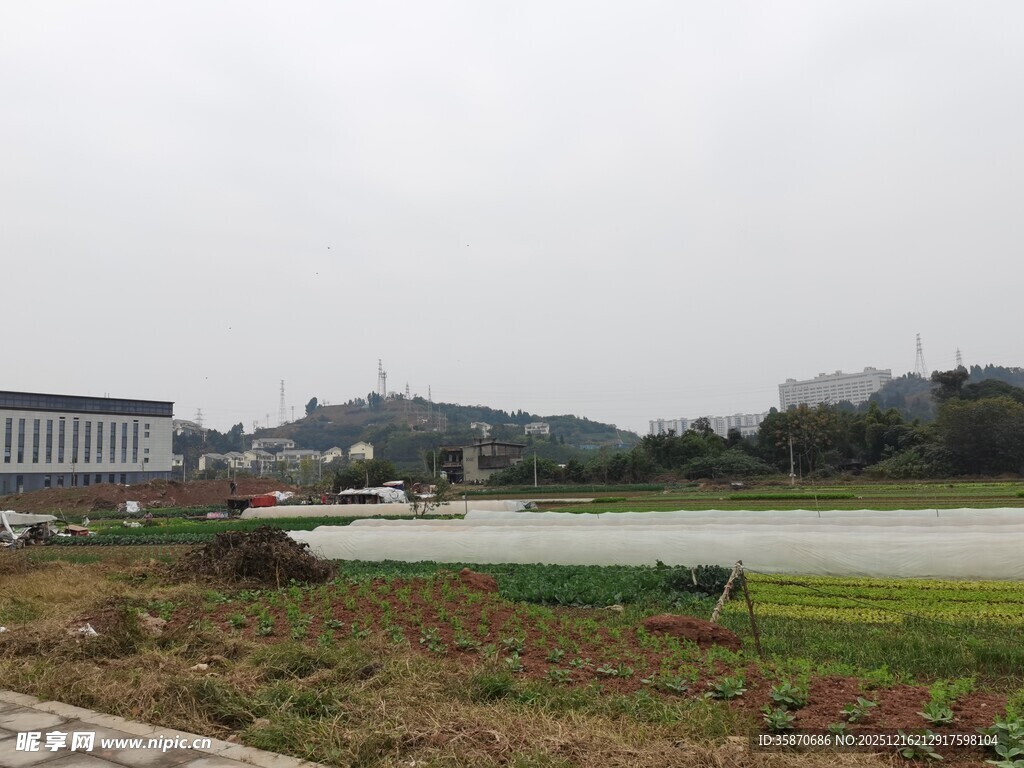 户外开阔风景远处建筑