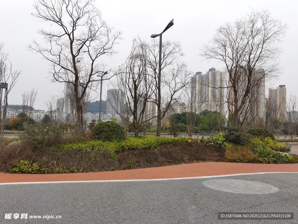 城市公园的冬日景观