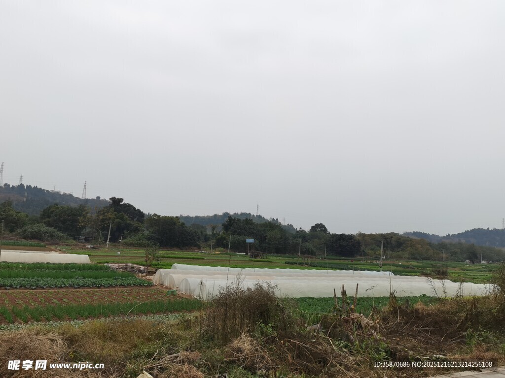 乡村田野自然风光图