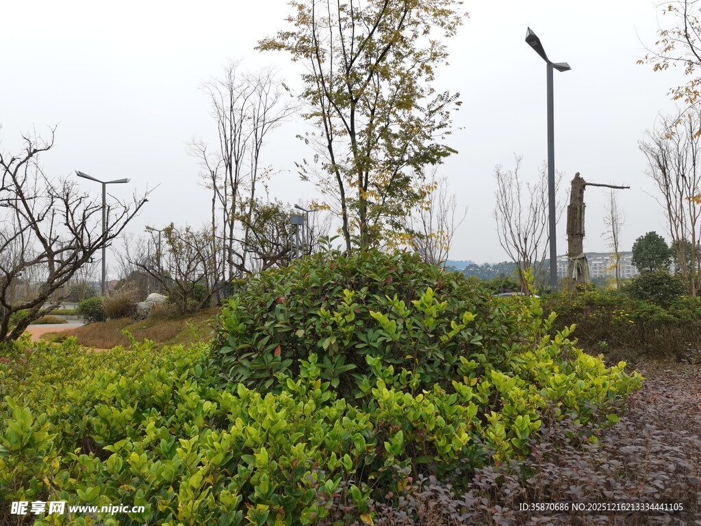 户外绿植景观与太阳能灯