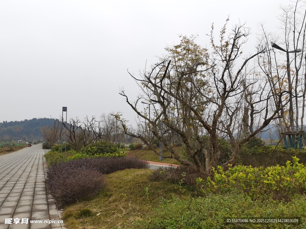 郊外冬日小路景观