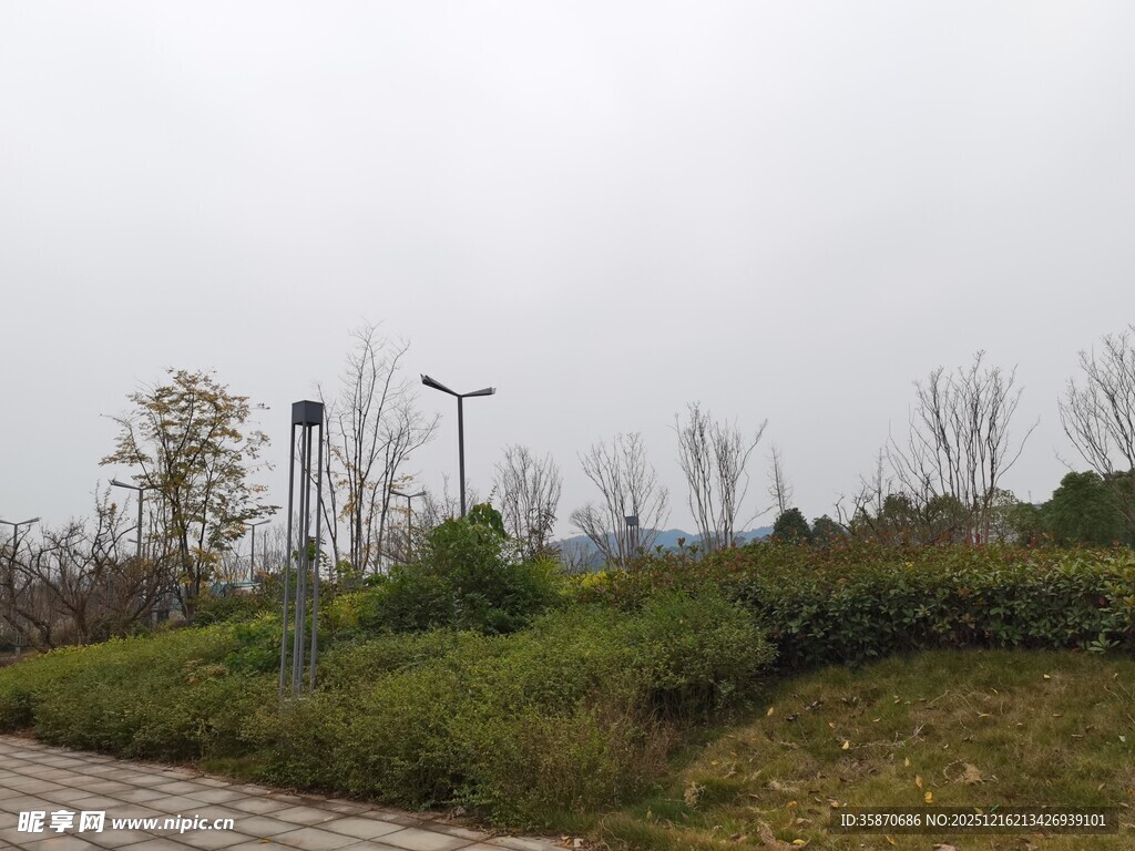 户外草地与路灯景观