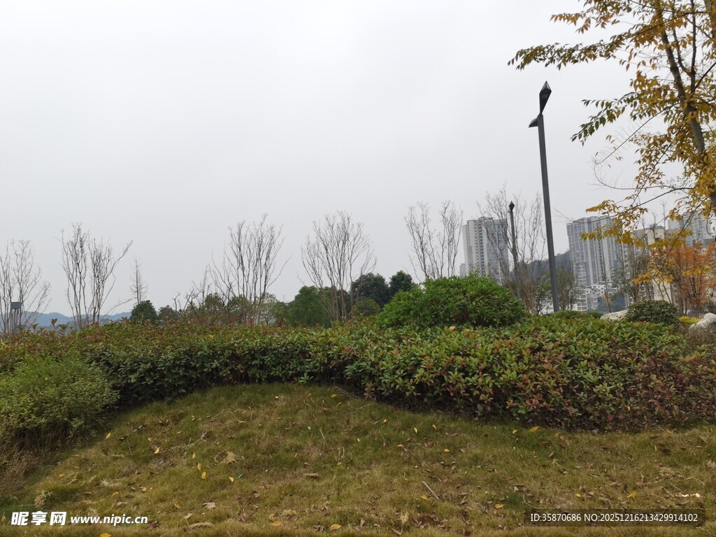 城市中的绿植景观