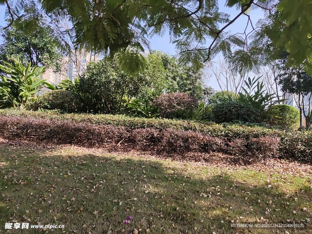 户外绿意盎然的庭院景观