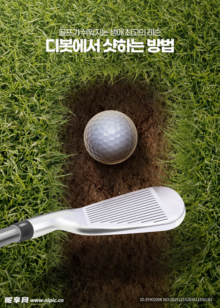 高尔夫运动草地草坪草皮海报