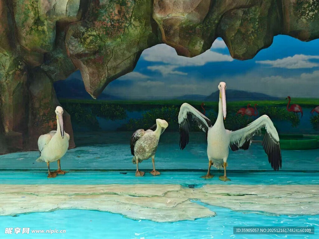 哈尔滨极地海洋馆