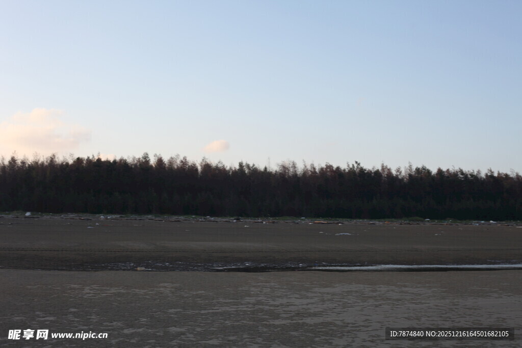 空旷原野与远处林木景观