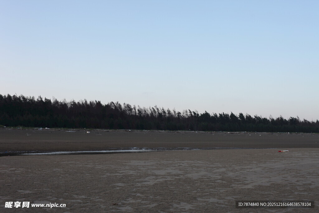 空旷原野与远处林木景观