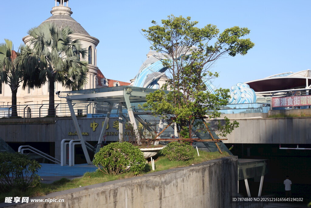 城市中的桥梁与周边景致