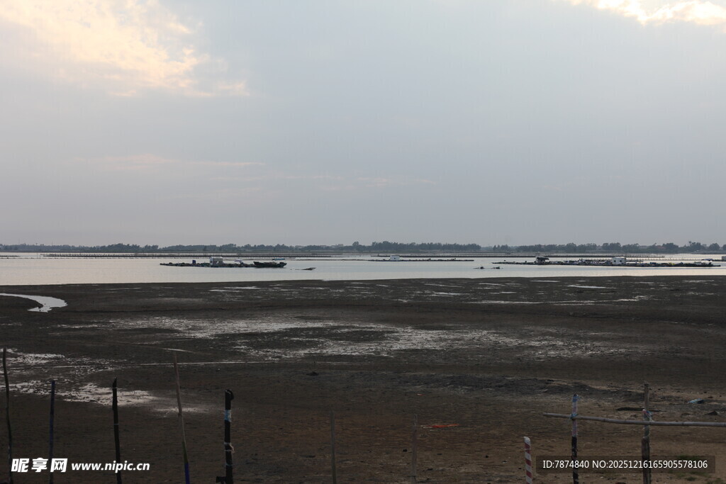 黄昏下的宁静河岸风光