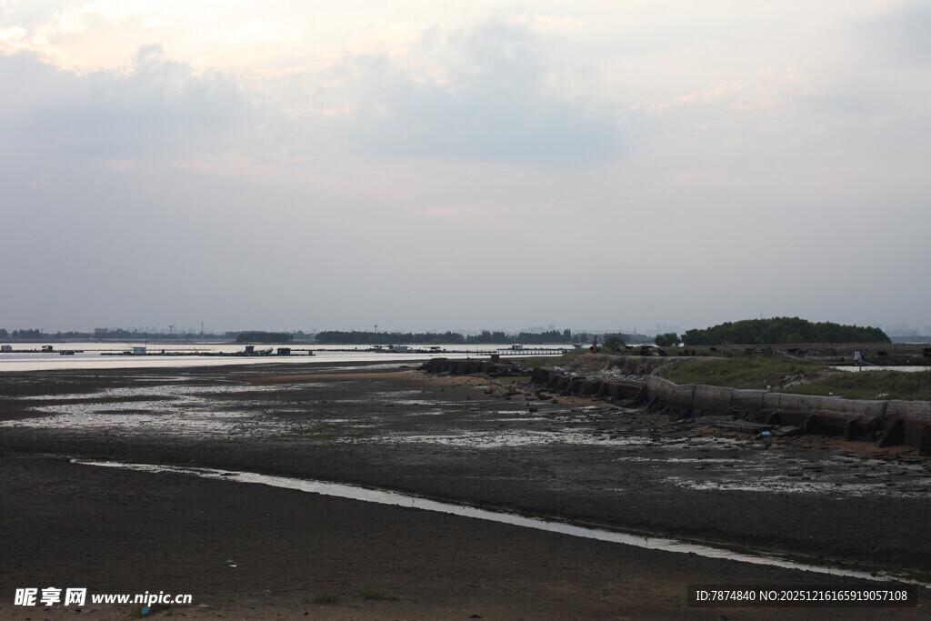 海边静谧滩涂风景