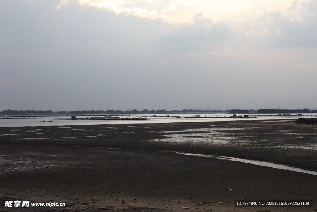 海边滩涂风景