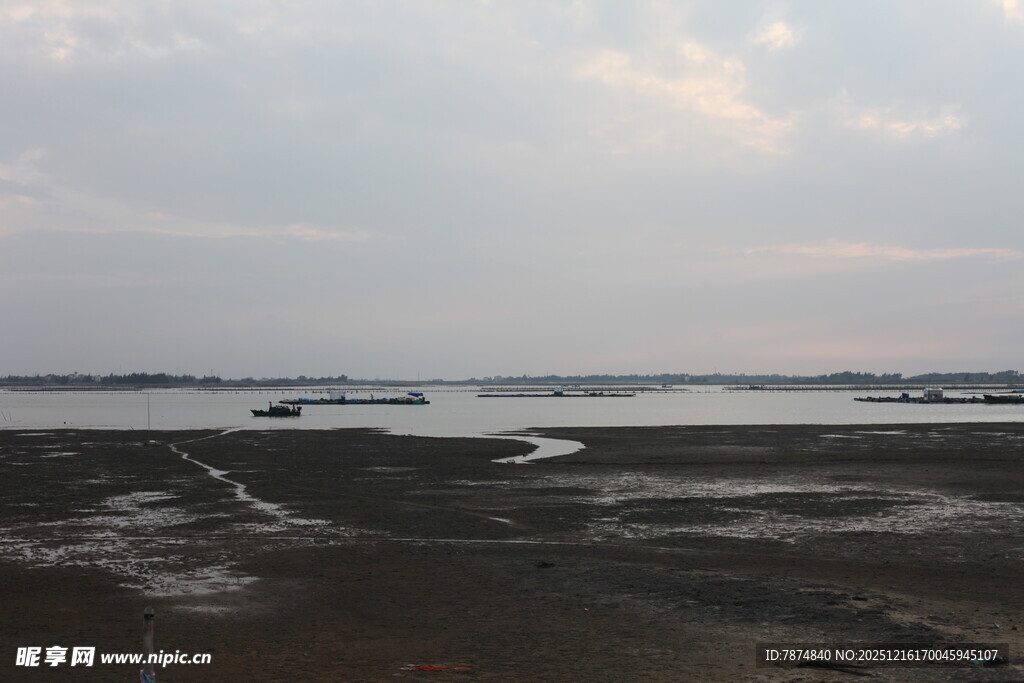 海边滩涂风景