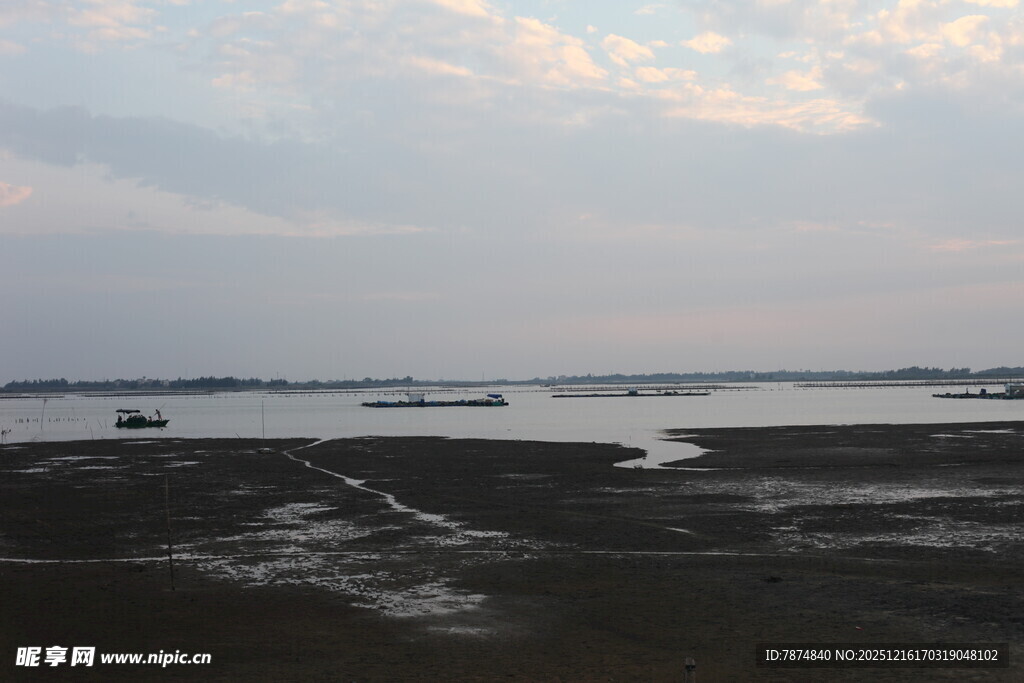海边黄昏下的滩涂景象