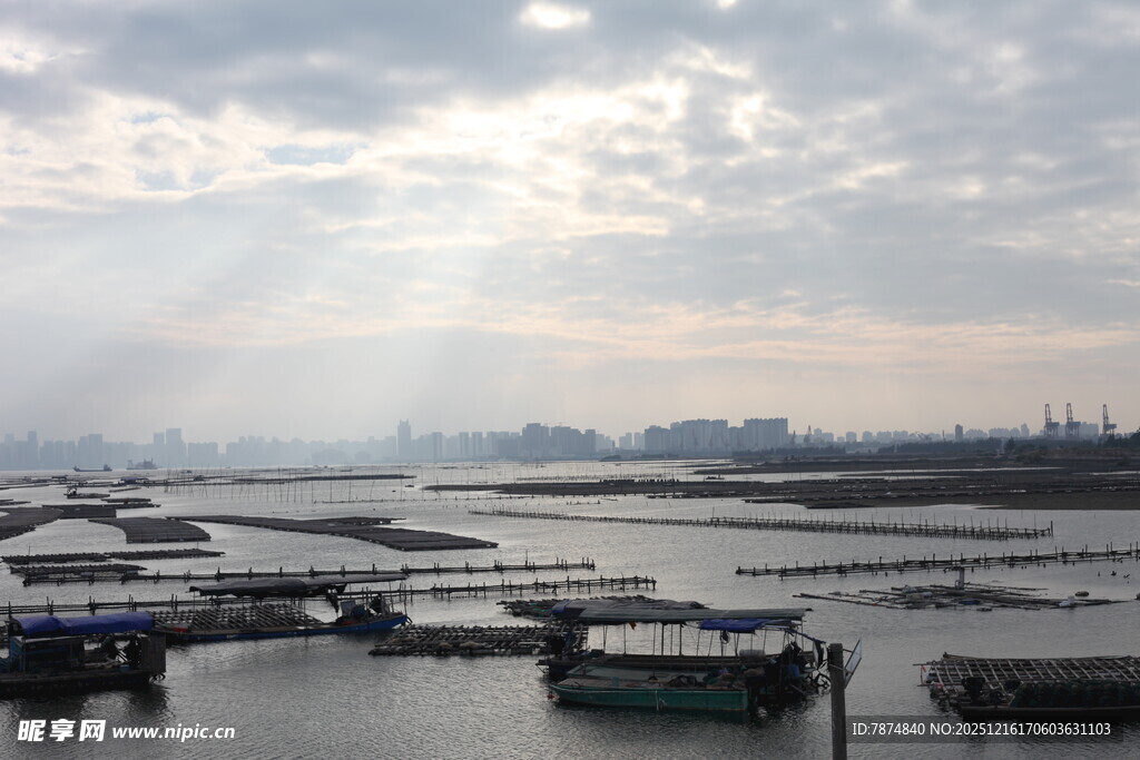 港口晨光下的停泊船只