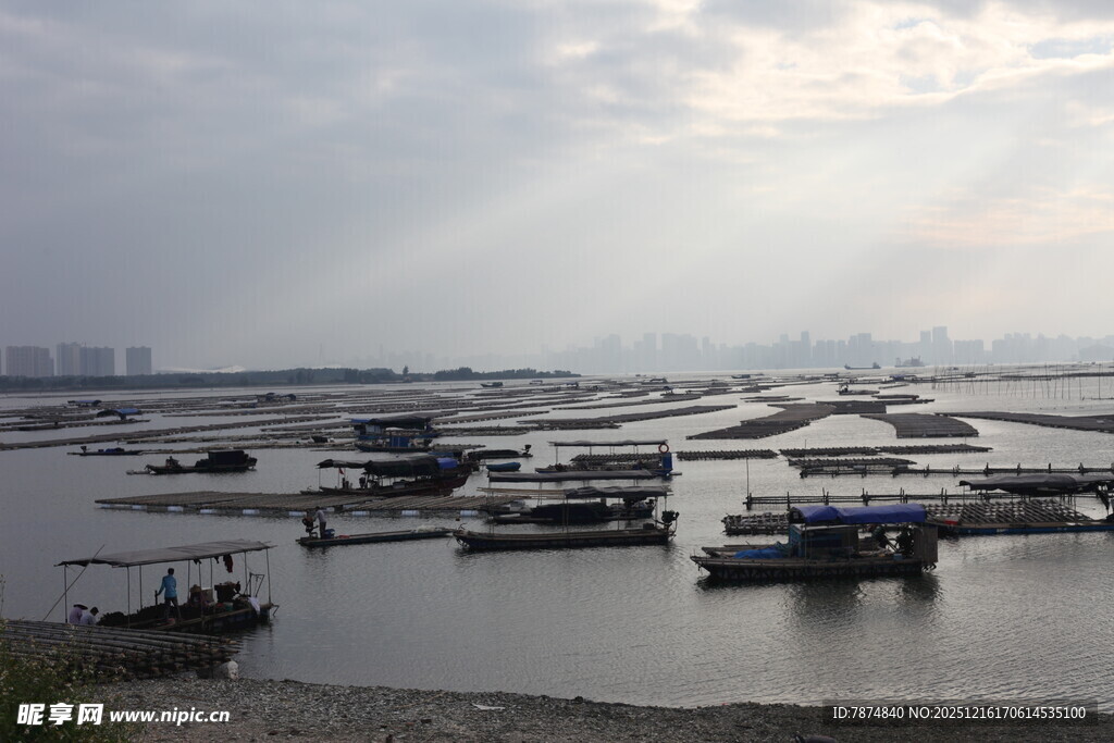 港口停泊船只景象
