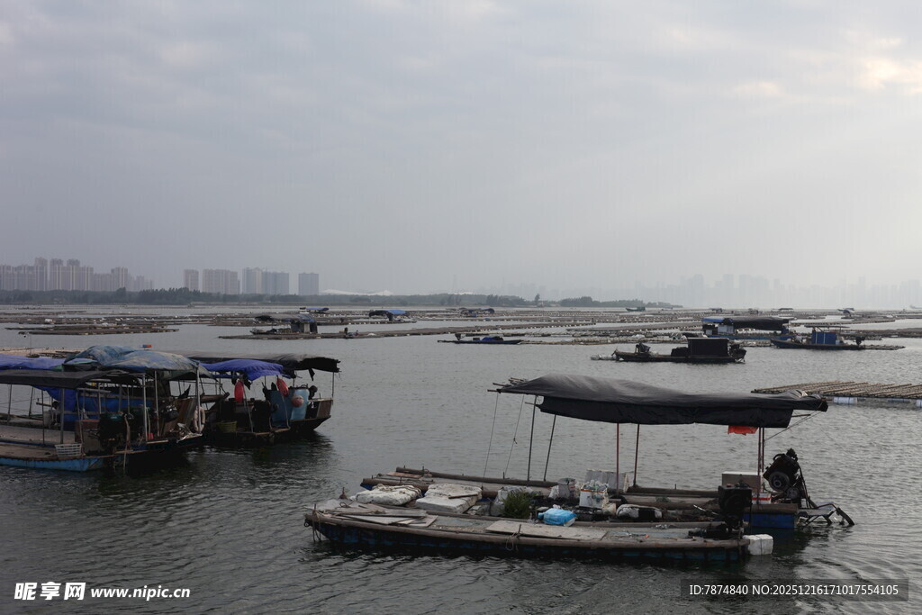 水上船只 宁静的水乡景象