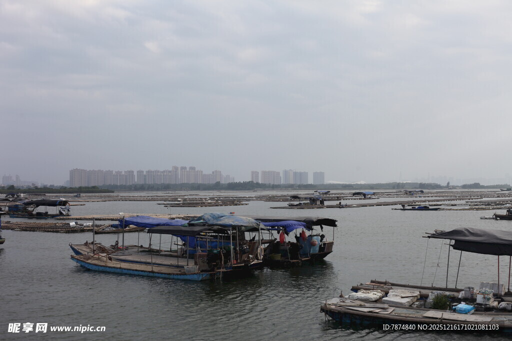 港口停泊的船只景象