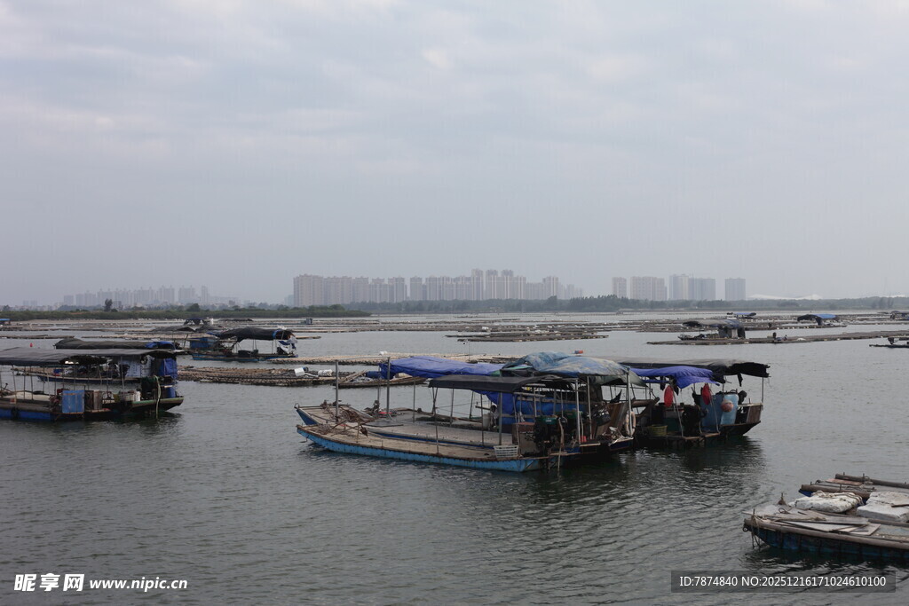 水上停泊的船只景观