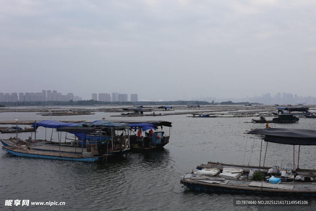 水上停泊的多艘船只