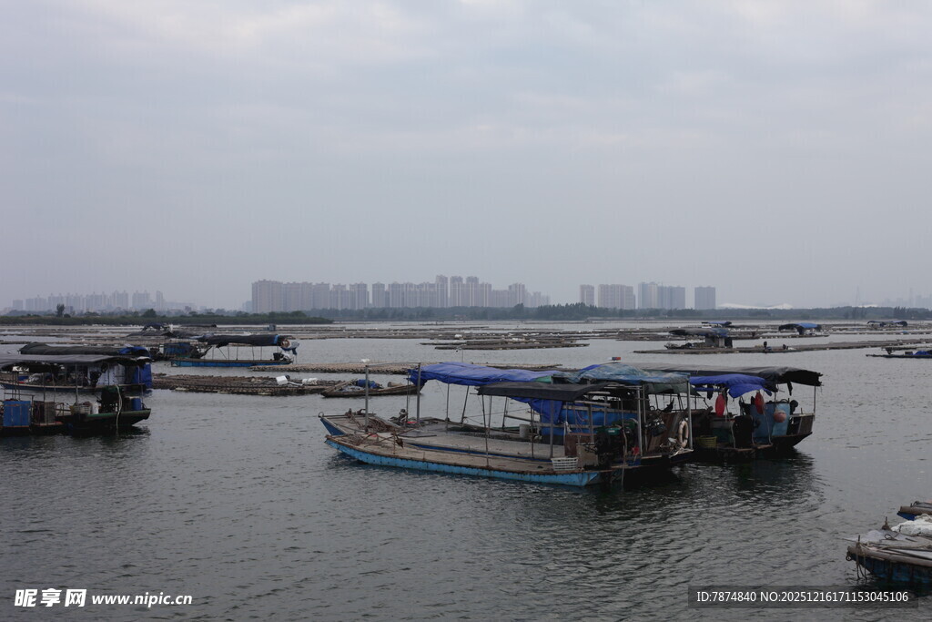 水上停泊的多艘船只