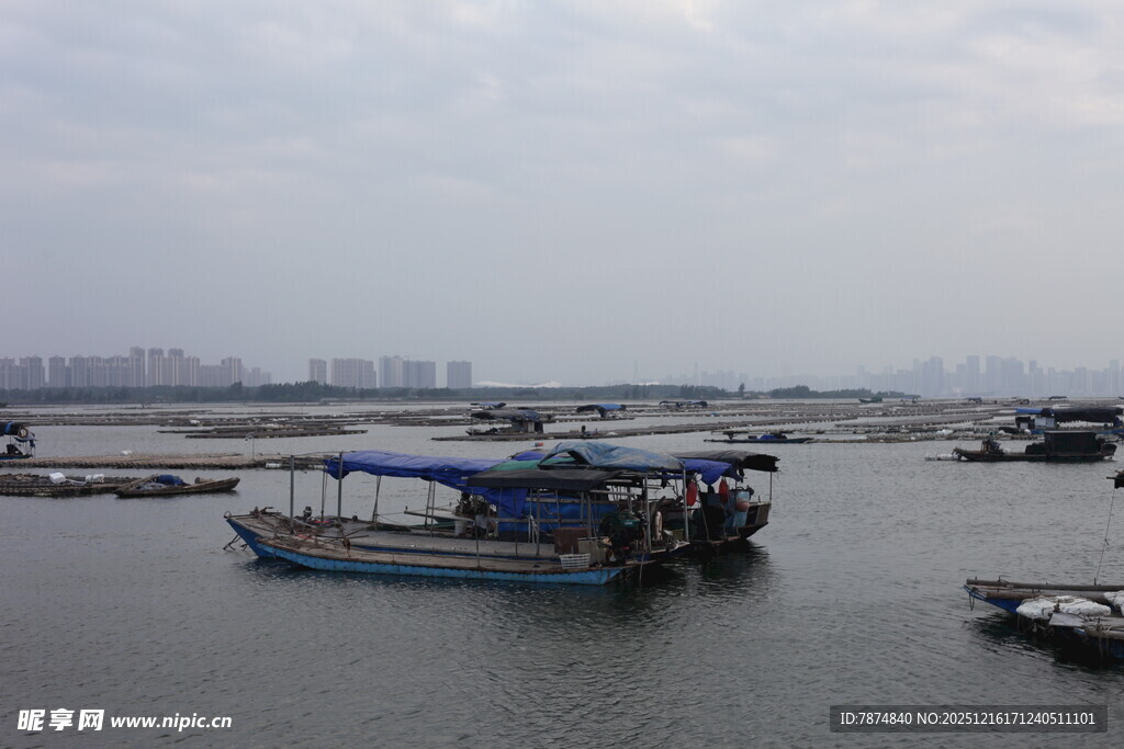 水上停泊的船只景观
