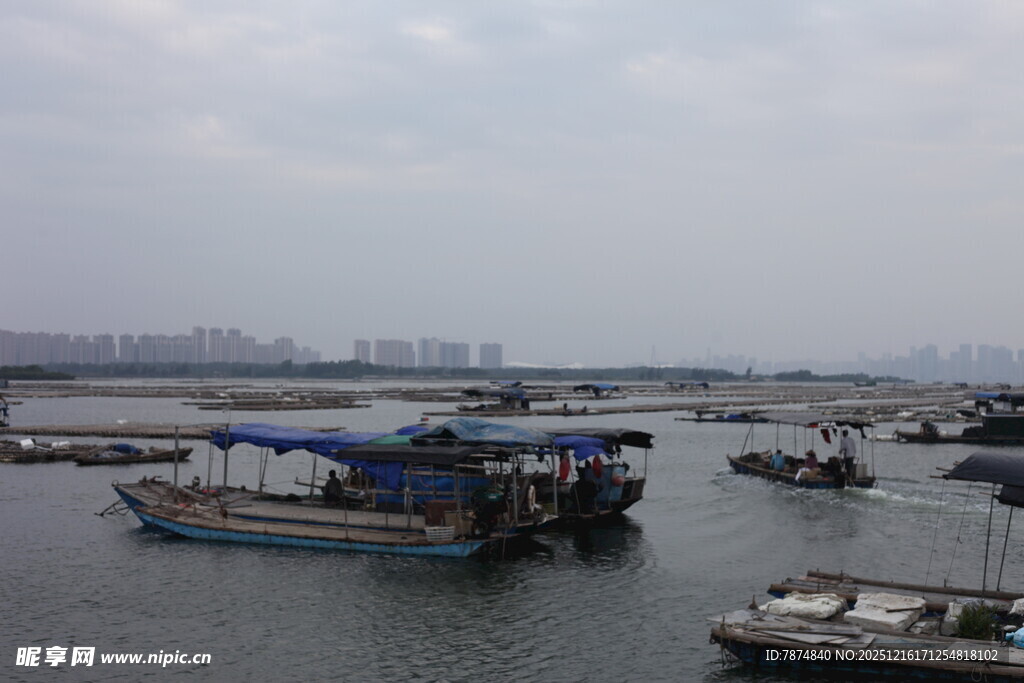 港口停泊的多艘船只