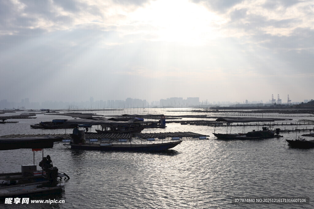 海港晨光中的停泊船只