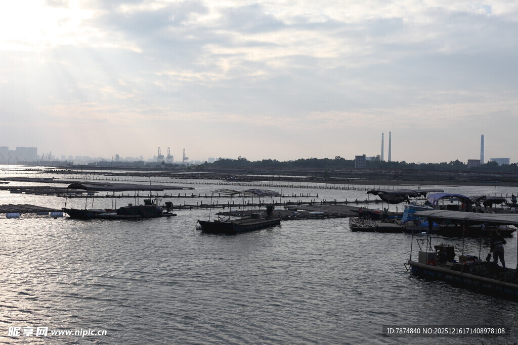 港口船只停泊景象