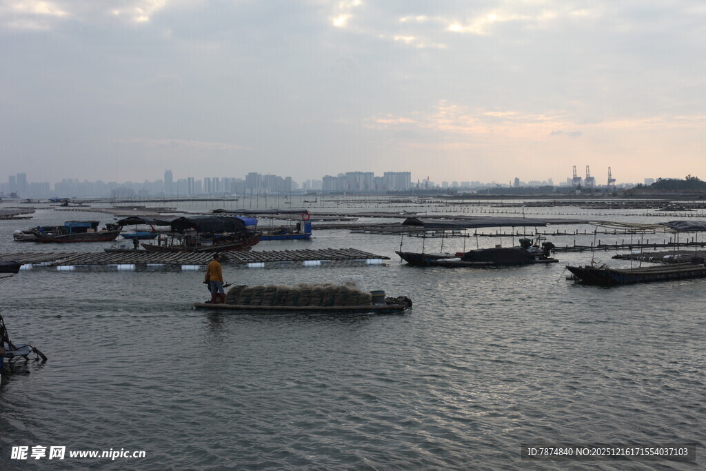 港口船只停泊景象