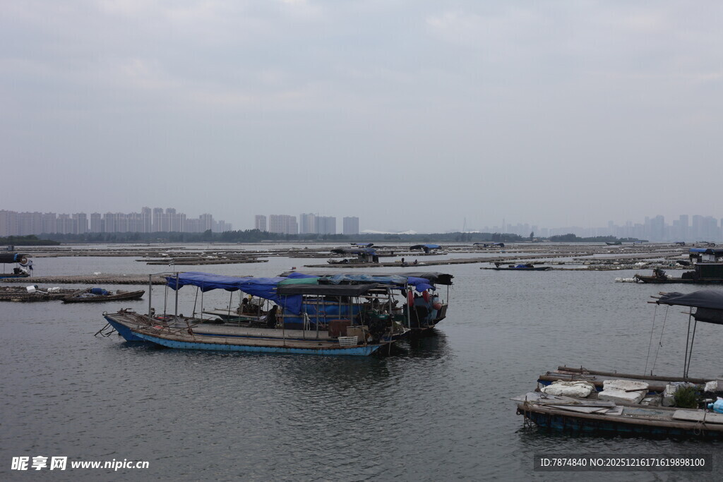水上停泊的多艘船只