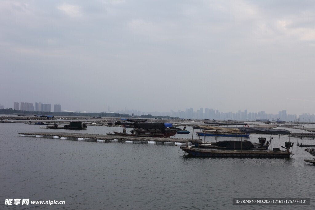 水上船只停泊景象