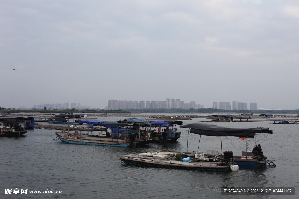 水上船只停泊景象