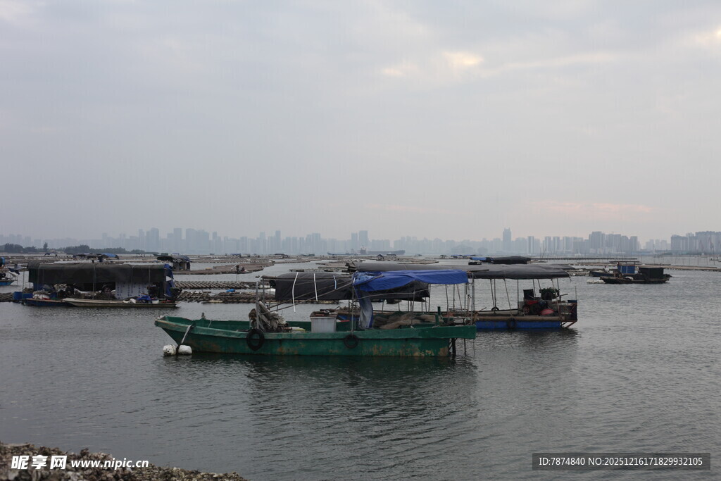 港口停泊的多艘船只