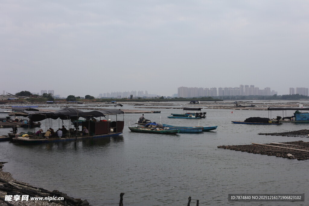 港湾停泊的多艘船只
