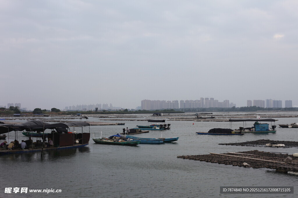 港口停泊着多艘船只