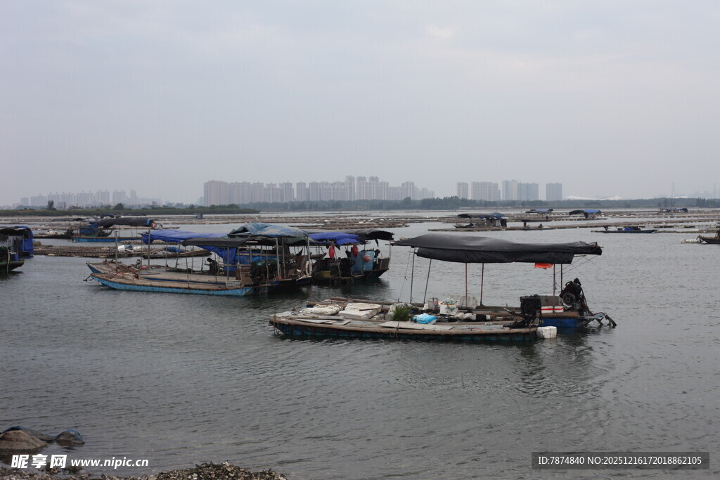 水上停泊的船只景观